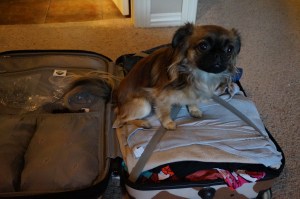 Kimi is pretty sure something's up...